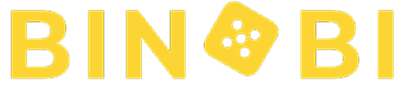 Загрузка Условий Binobi